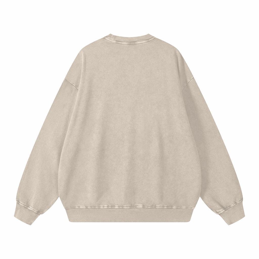 Snow Washed Oversized Sweatshirt
