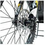 Arctic Leopard XE Pro S